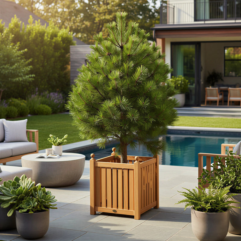 Jardinière carrée en teck 55 cm (22 po)
