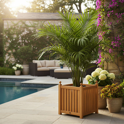 Jardinière carrée en teck 55 cm (22 po)